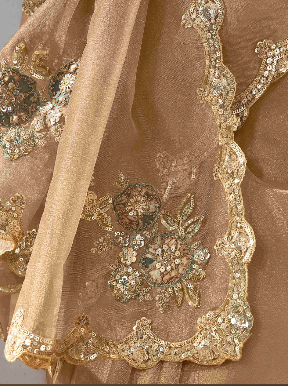 Elegant Beige Organza Saree + Sequins Work