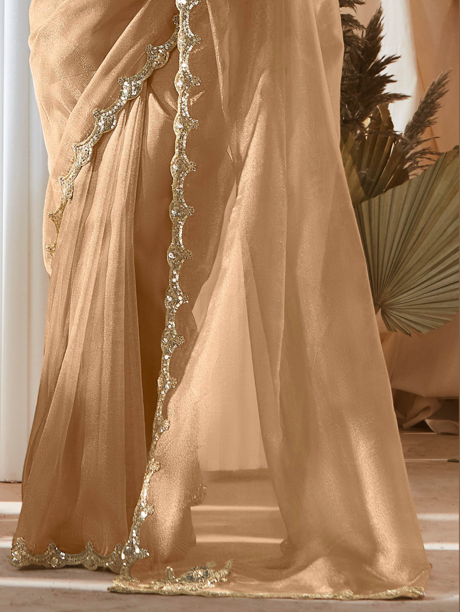 Elegant Beige Organza Saree - Pallu